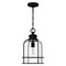 Quoizel Bowles Mid Pendant 1 Light Earth Black BWE1510EK - alternate 2